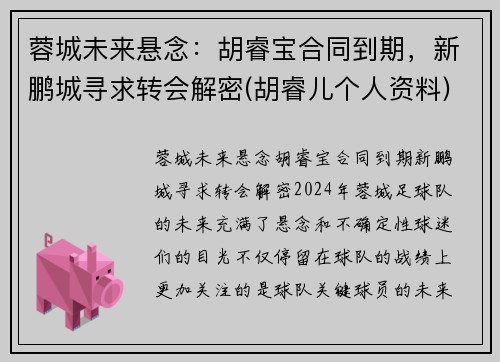 蓉城未来悬念：胡睿宝合同到期，新鹏城寻求转会解密(胡睿儿个人资料)