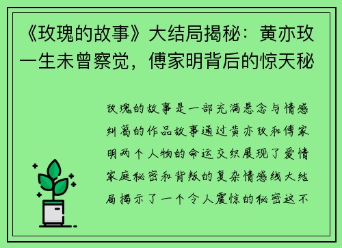 《玫瑰的故事》大结局揭秘：黄亦玫一生未曾察觉，傅家明背后的惊天秘密